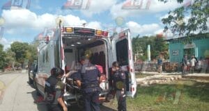 Hombre cae de un árbol