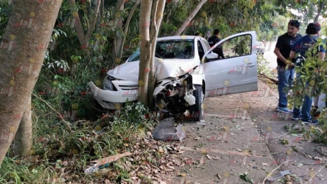 conductor árbol avenida Benito Juárez