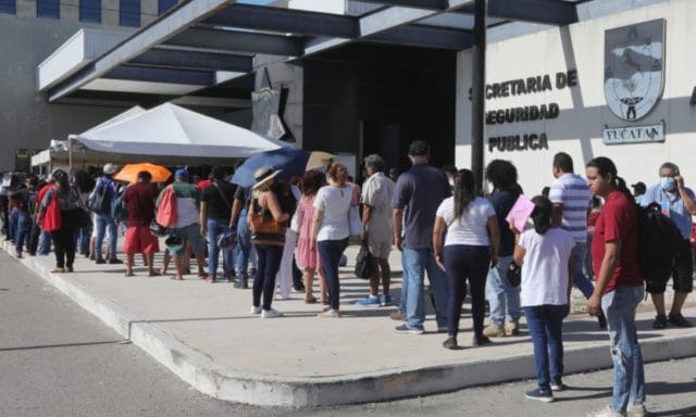 Cambio de placas en Yucatán 2025