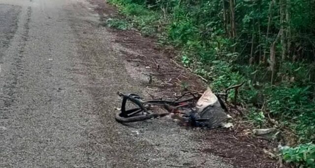 embestido mientras se dirigía a su milpa embestido mientras se dirigía a su milpa