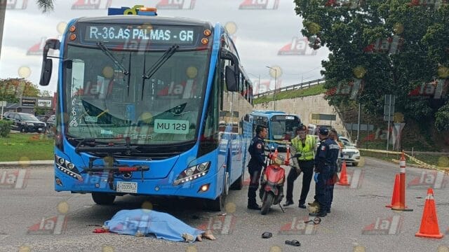 va y ven Mérida-Cancún Va y Ven Mérida-Cancún