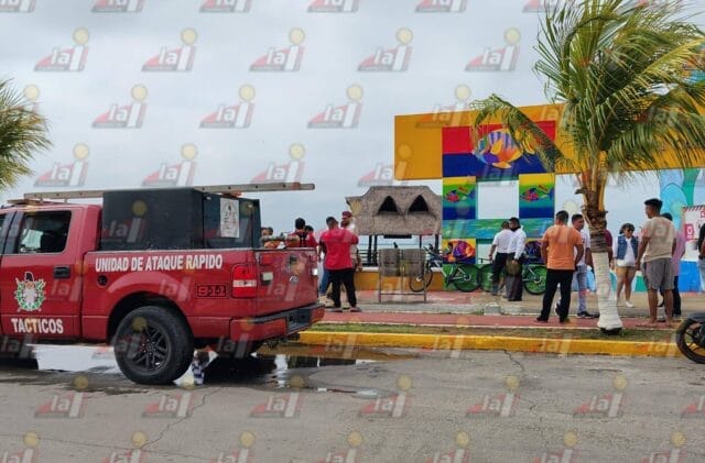 abuelito perrito Ciudad de Carmen abuelito perrito Ciudad de Carmen