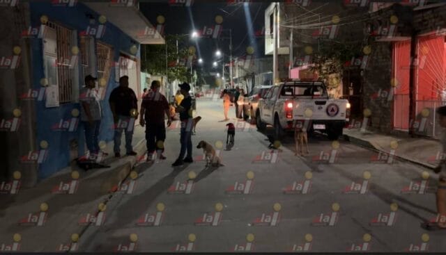 envenenamiento perritos ciudad del carmen envenenamiento perritos ciudad del carmen