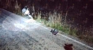 Joven motociclista termina con el rostro desfigurado tras accidentarse en la Nunkiní-Pucnachén