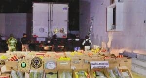 Drogas y armas dentro del camión asegurado por fuerzas federales y estatales