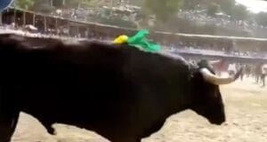 Hombre pierde la vida tras ser corneado por un toro: terminó con las vísceras expuestas