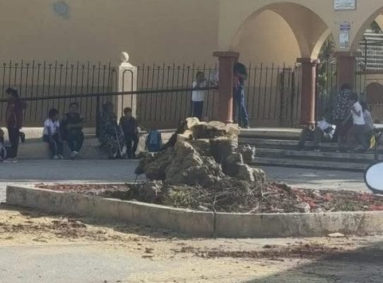 506396744_1322926982689645_2580479206940092602_n (1)