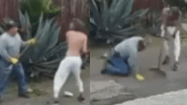 Diseño sin título (44)