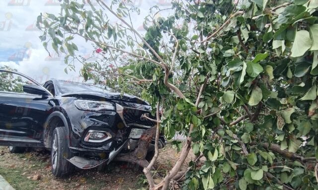 Camioneta pierde el control y derriba árbol en Las Américas
