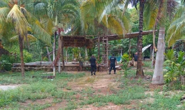 Atrapan a ladrón con las manos en la masa en predio de Tzucacab