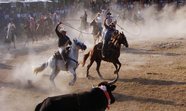 Frenan torneos de lazo en Panabá: Ayuntamiento prohíbe prácticas riesgosas