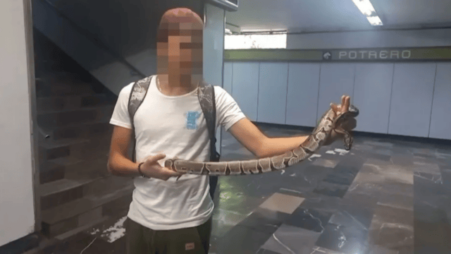 Joven Intenta ingresar con una serpiente en el Metro CDMX VIDEO serpiente en el Metro CDMX