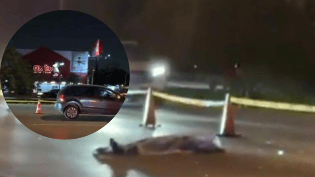 atropellado en el Periférico de Mérida