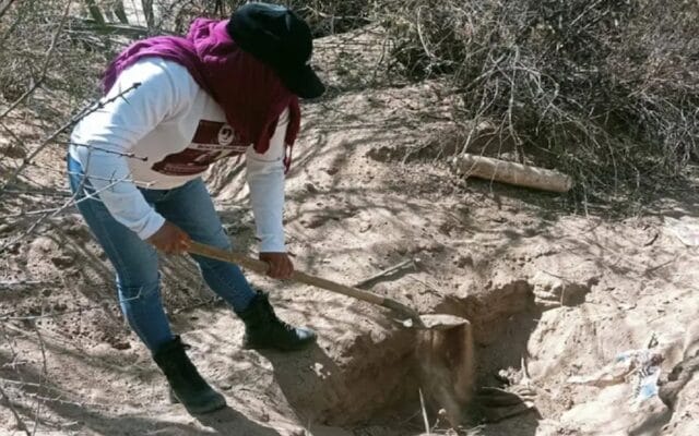 Restos humanos cráneos