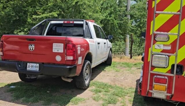 Dos menores resultan gravemente heridos al caer de tirolesa en una parque Dos menores resultan gravemente heridos al caer de tirolesa en una parque