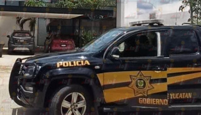 Jardinero es mordido por una serpiente de cascabel mientras trabajaba en Conkal Jardinero es mordido por una serpiente de cascabel mientras trabajaba en Conkal