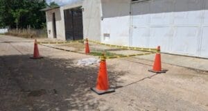 Fiscalía investiga muerte de perrita atropellada en Tizimín