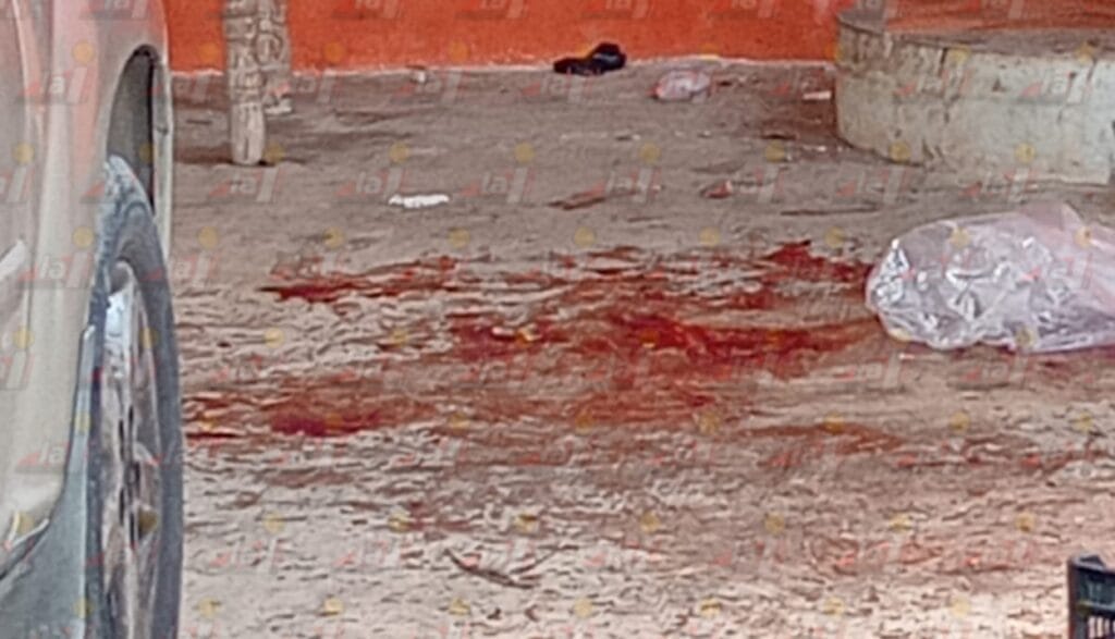 Parranda termina en hospital: perro muerde a su dueño en Motul