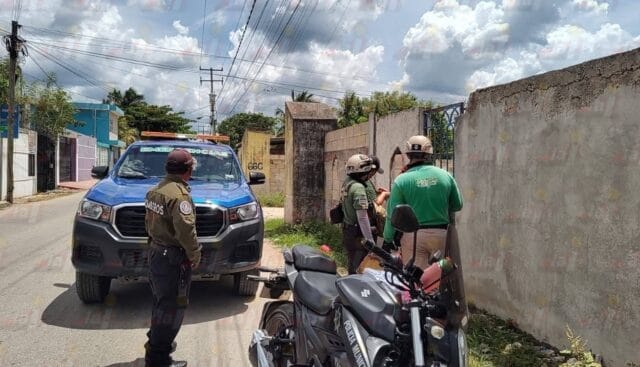 Vecino de Kanasín lanza a su cachorro por una reja y causa indignación