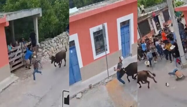 Menor lesionado tras ser corneado por vaquilla en la “Dzidzantuneada” de Dzidzantún