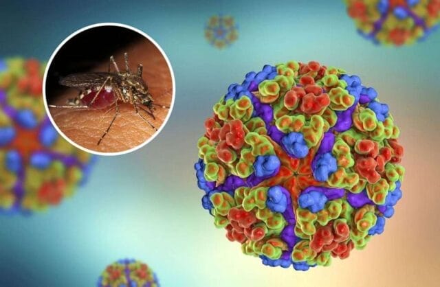 ¿Nueva pandemia? China enfrenta un preocupante brote de un virus transmitido por mosquitos