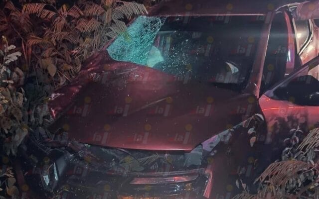 leñador falleció atropellado carretera Temax  Cansahcab