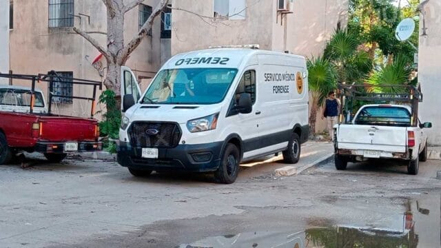Encuentra a su amigo sin vida en San Marcos Sustentable Encuentra a su amigo sin vida en San Marcos Sustentable