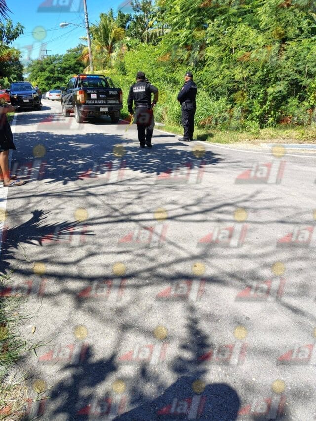 3f48b8a5-7f07-4c03-a3aa-9863a8ca8a97