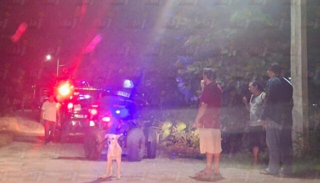 Triste despedida a exbeisbolista de Dzilam González, tras cuatro días extraviado en el monteTriste despedida a exbeisbolista de Dzilam González, tras cuatro días extraviado en el monte Triste despedida a exbeisbolista de Dzilam González, tras cuatro días extraviado en el monte