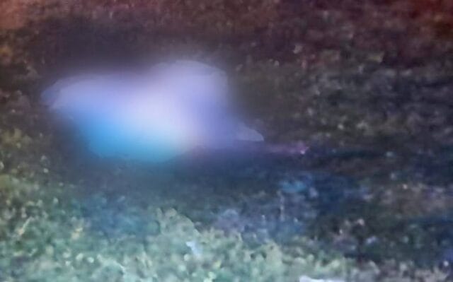 Accidente en la carretera Campeche-Mérida Accidente en la carretera Campeche-Mérida