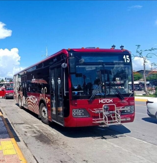 571292257_122184628904573879_1464302731090903262_n