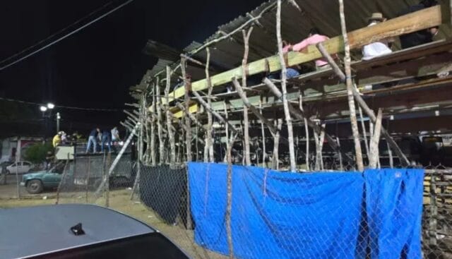 Tragedia en Tetiz: mueren dos caballos y un perro durante corrida de toros