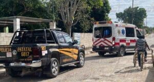 Hombre termina hospitalizado tras ser atacado por un enjambre de abejas en Tizimín