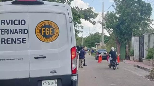 Asesinan a la perrita moka en Ticul: indignación por ataque en el barrio de san sebastián