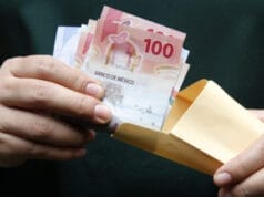 ¿Cómo levantar una queja si no me han pagado el aguinaldo 2025? ¿Cómo levantar una queja si no me han pagado el aguinaldo 2025?