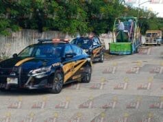 Operativo policial en Salvador Alvarado Sur tras atropello de una agente