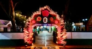Listo el Cementerio General de Valladolid para los días de finados