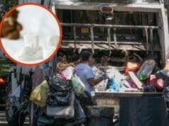 Recién nacido camión de basura