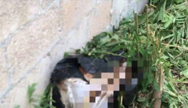 Hallazgo de restos óseos en Kila-Lerma moviliza a autoridades: se cree que son de un chiquillo