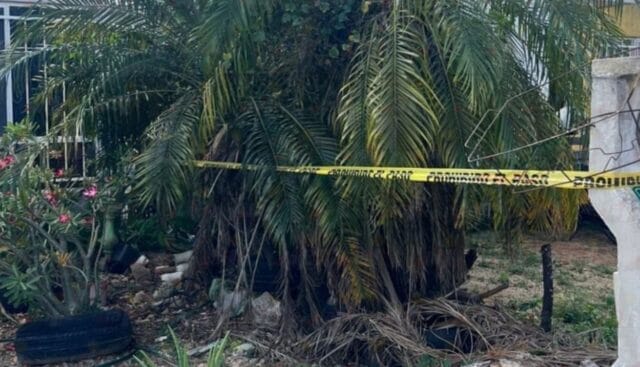 Triste amanecer en Ciudad Caucel: Joven halla sin vida a su madre dentro de su casa Triste amanecer en Ciudad Caucel: Joven halla sin vida a su madre dentro de su casa