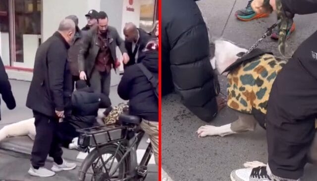 Escena estremecedora: Pitbull ataca brutalmente a un nené de tan solo 1 año