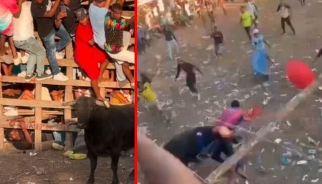 Hombre queda al borde de la muerte tras recibir brutal cornada de toro en el recto durante corraleja