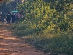 Mortal ataque de abejas africanas ataca a pareja de abuelitos en Temax; uno perdió la vida