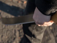 Hombre le da machetazo a una perrita en Escárcega y causa indignación