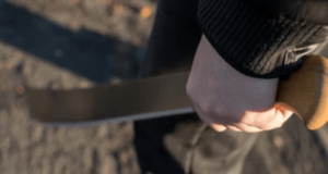 Hombre le da machetazo a una perrita en Escárcega y causa indignación