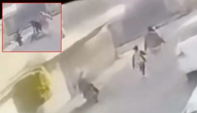 Captan brutal golpiza a mujer y menor; señalan a presunta maestra