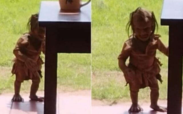 video chaneque redes sociales