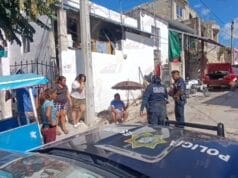 Camión repartidor de gas atropella y mata a perro en colonia Ampliación Esperanza