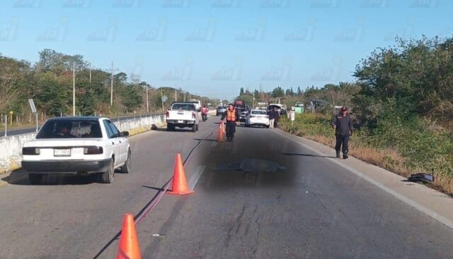 Ciclista muere atropellado en la Mérida–Chetumal; conductor queda detenido