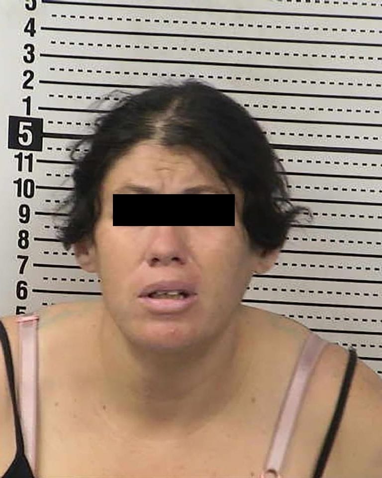 Arrestan a mujer acusada de ahogar a su bebé en baño portátil
